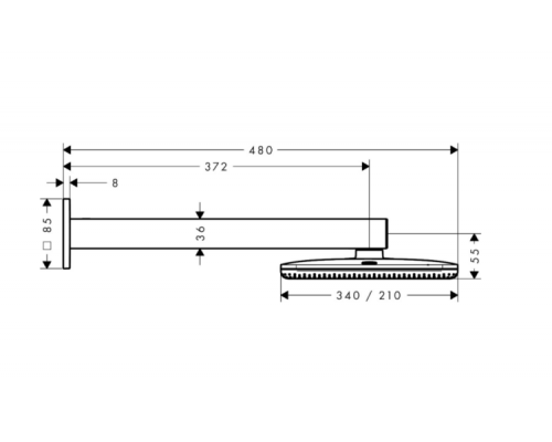 Верхний душ Hansgrohe Raindance Alive 214x343 мм 2 режима хром 24550000