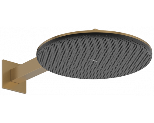 Верхний душ hansgrohe Raindance Alive S 300 мм 2 режима с кронштейном 390 мм бронза 24540140