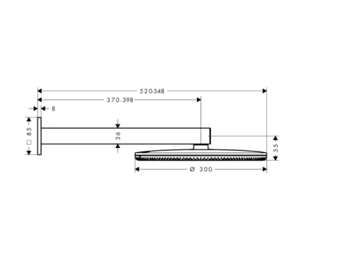 Верхний душ Hansgrohe Raindance Alive S 300 мм 2 режима хром 24540000