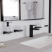 Стакан для зубных щеток Hansgrohe AddStoris черный матовый 41749670
